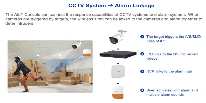 access cctv link